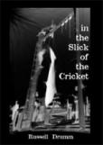 IN THE SLICK OF THE CRICKET